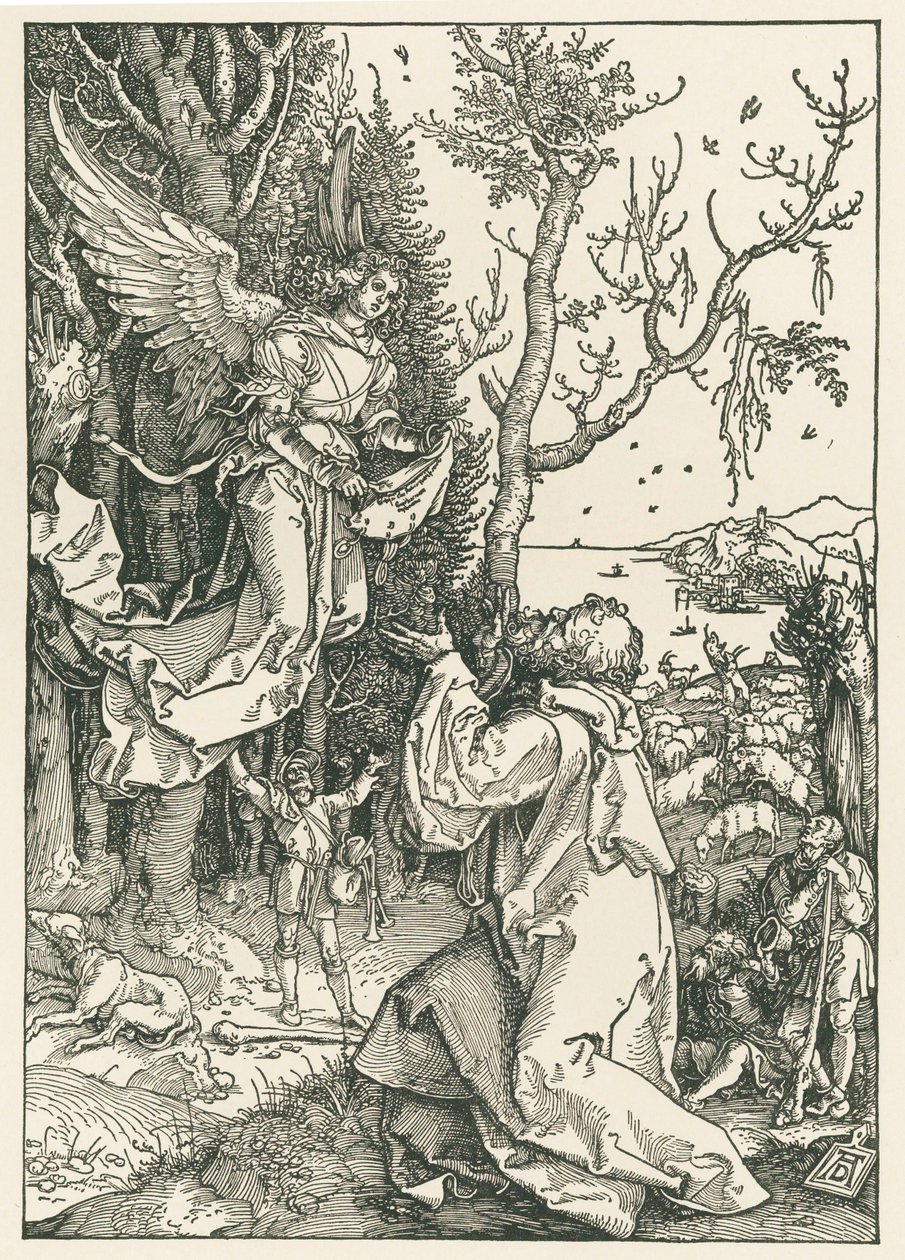 O anjo que traz a mensagem a Joaquim, c.1504 (xilogravura) de Albrecht Dürer or Duerer