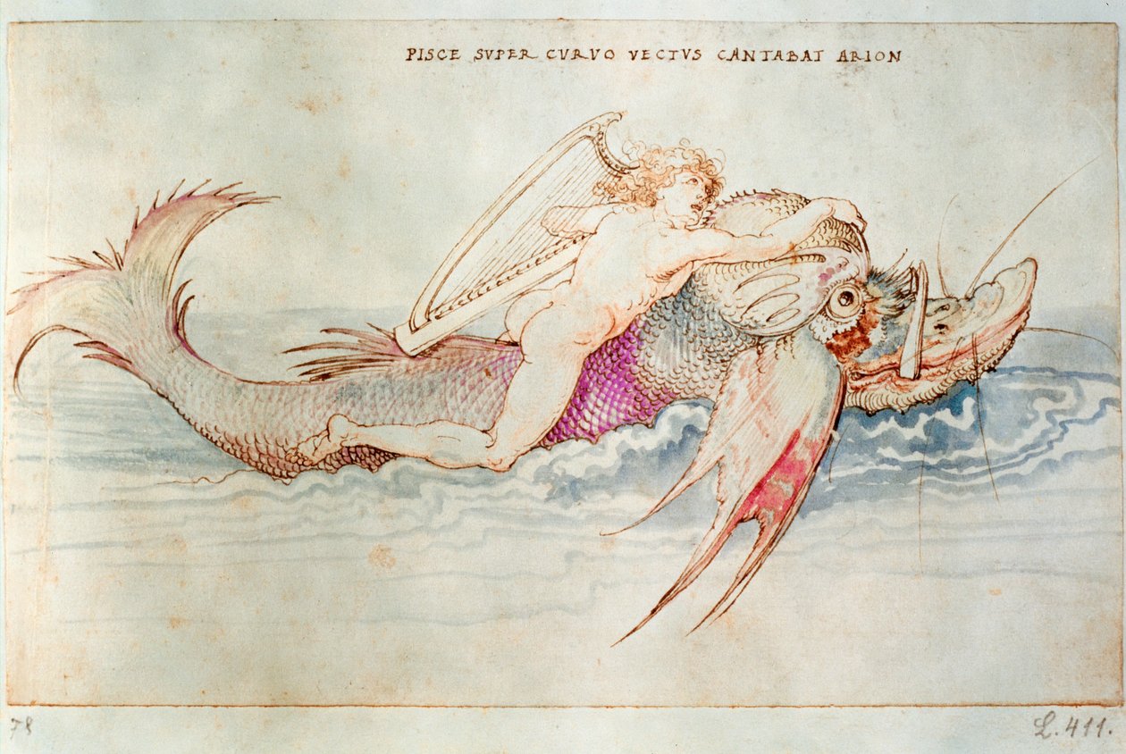 O poeta grego Arion montando o golfinho, c.1515 (aguarela sobre papel) de Albrecht Dürer or Duerer