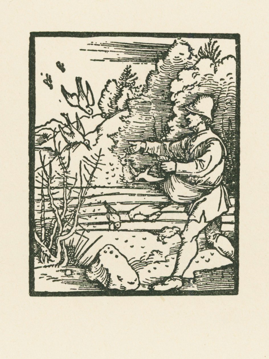A parábola do semeador de Albrecht Dürer or Duerer