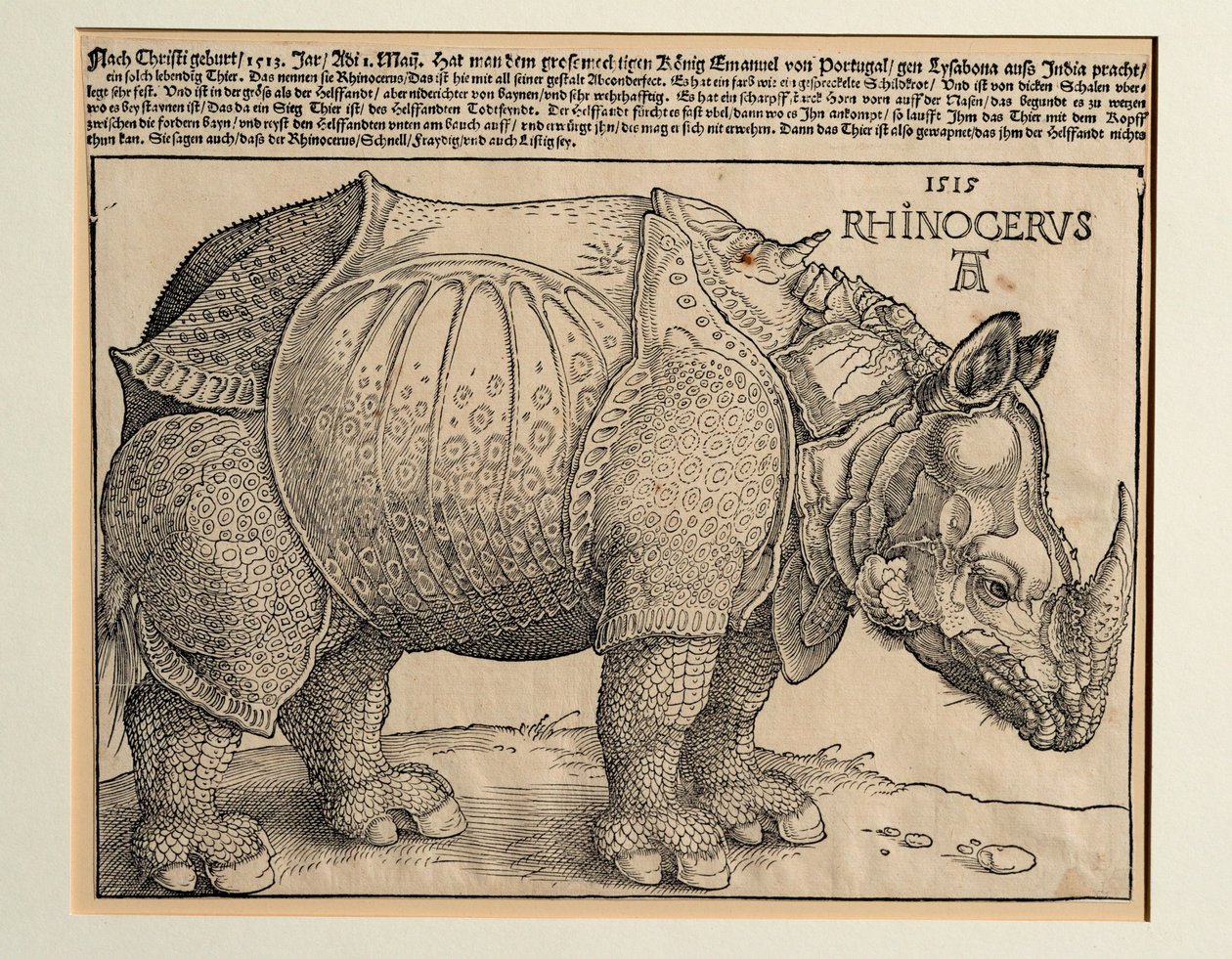 O Rinoceronte de Albrecht Dürer or Duerer