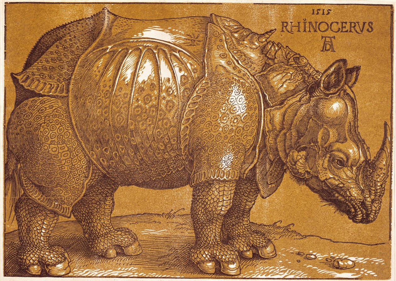 O Rinoceronte de Albrecht Dürer or Duerer