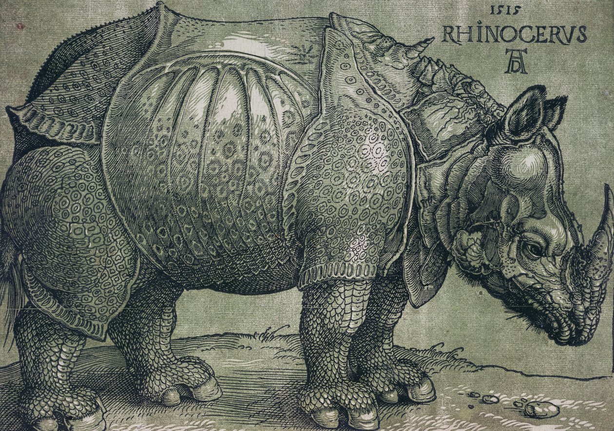O Rinoceronte, 1515 de Albrecht Dürer