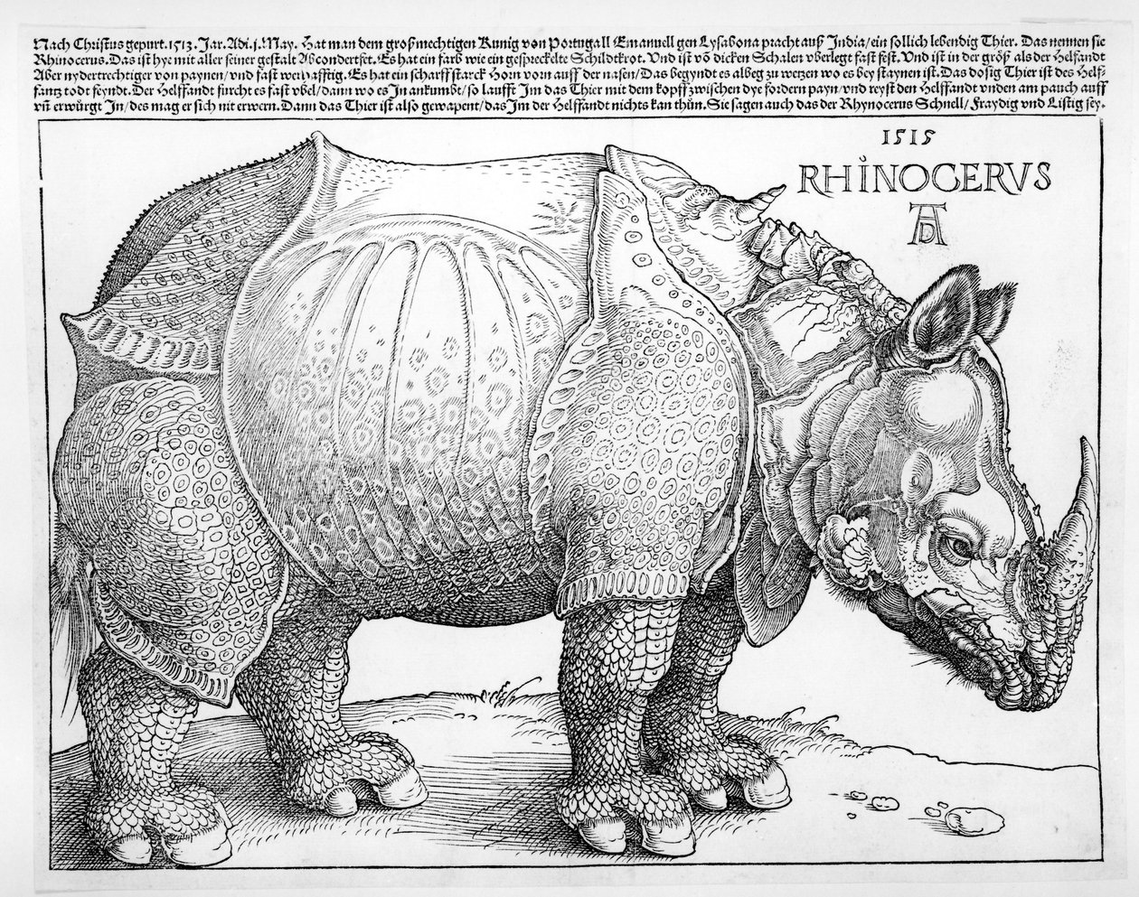 O Rinoceronte, 1515 de Albrecht Dürer