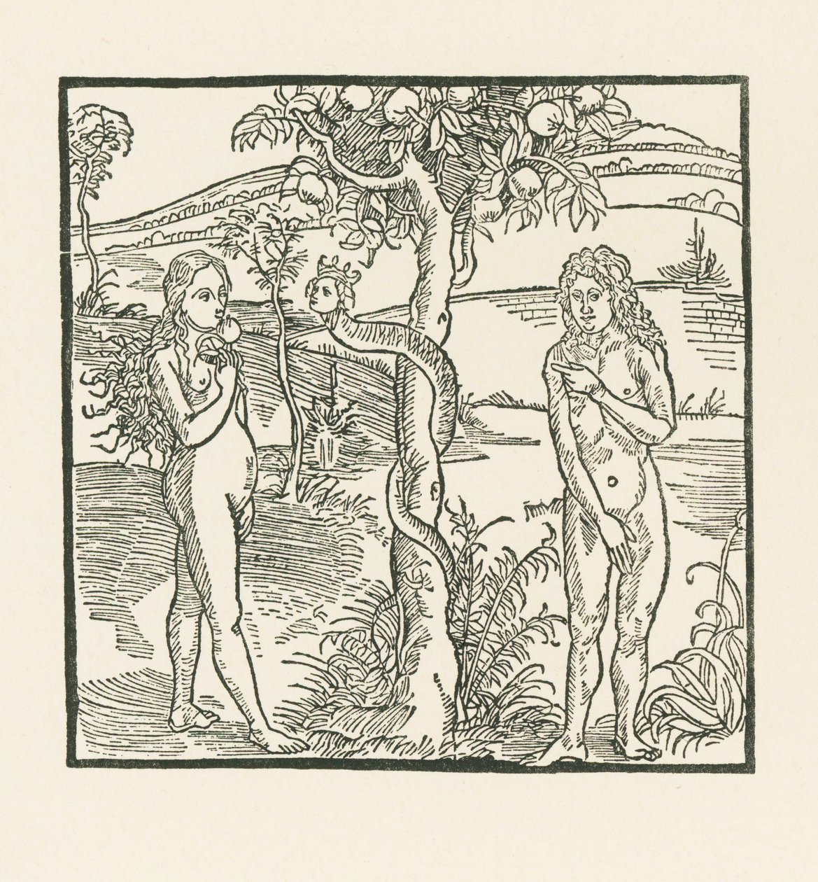 A queda. Ilustração de "Der Ritter von Turn", c.1493-93 (xilogravura) de Albrecht Dürer or Duerer