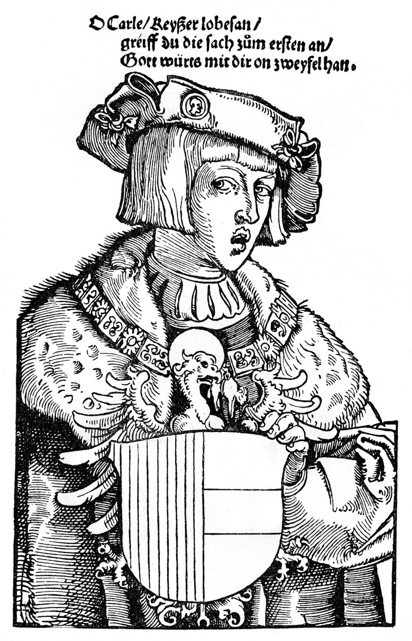 O jovem Charles V de Albrecht Dürer