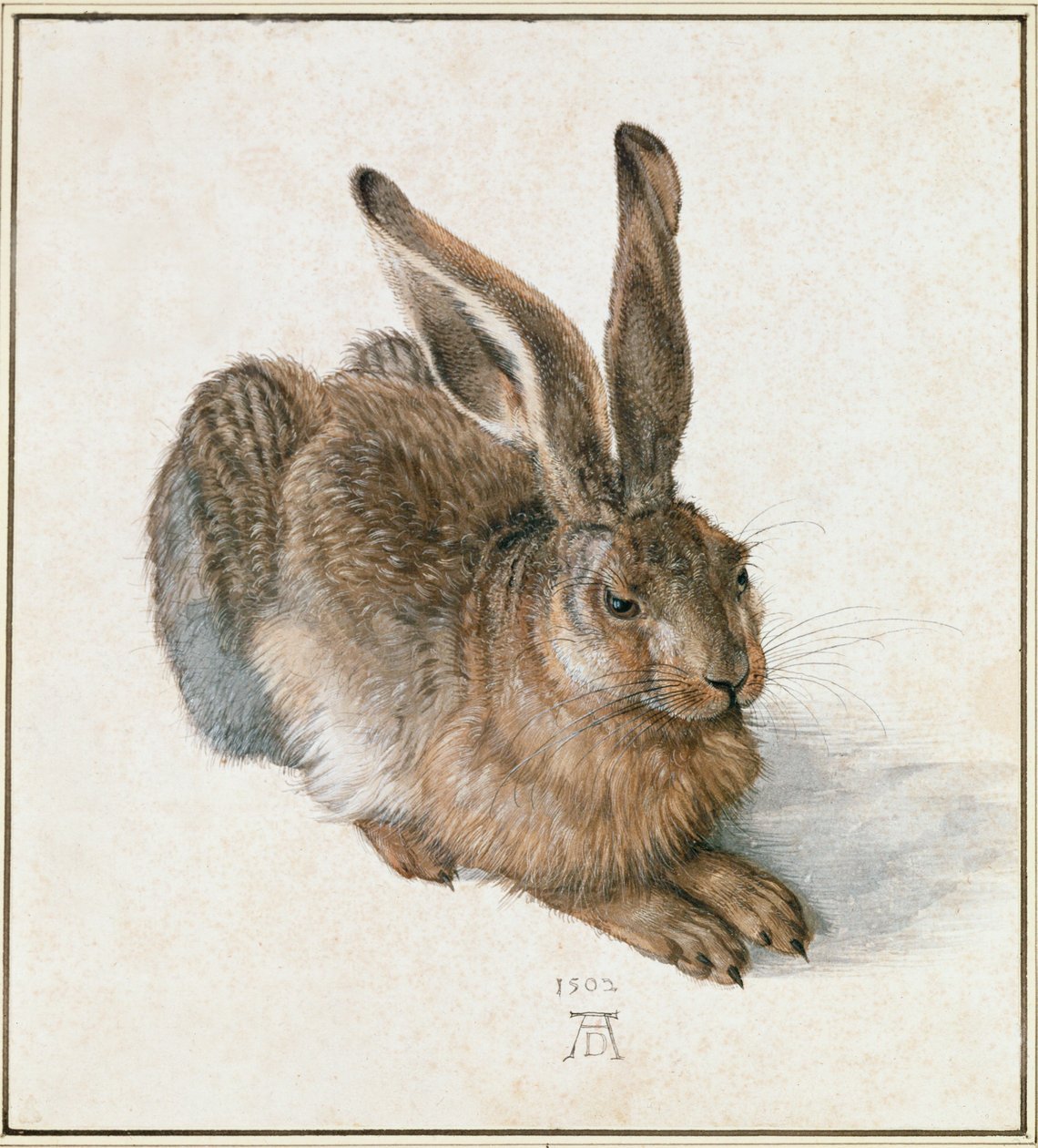 Lebre jovem de Albrecht Dürer or Duerer