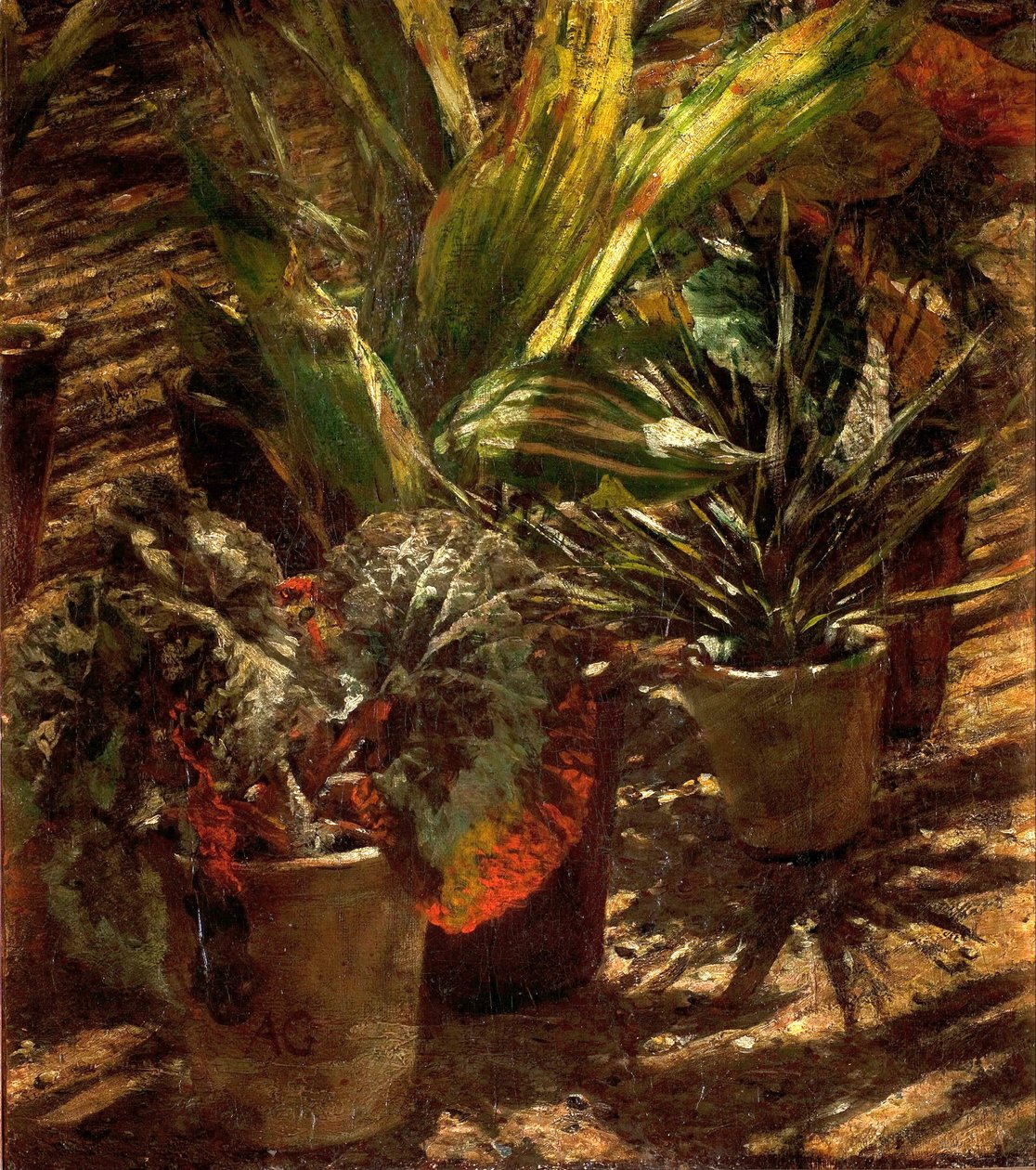 Begónias. de Aleksander Gierymski