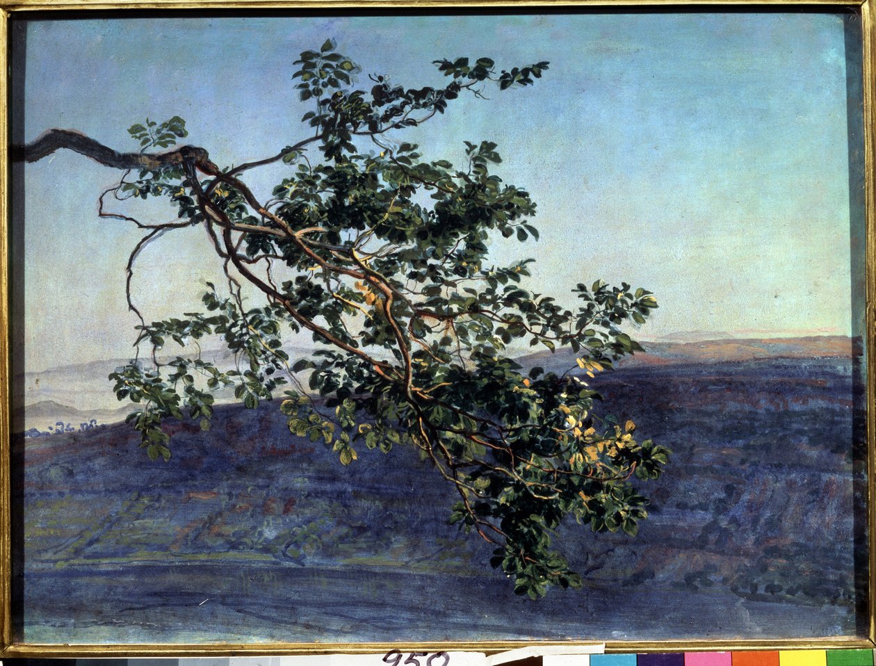 "La branche" Peinture de Alexander Ivanov (1806-1858) 1840-1850 Galeria Estadual Tretyakov, Moscovo de Aleksandr Andreevich Ivanov
