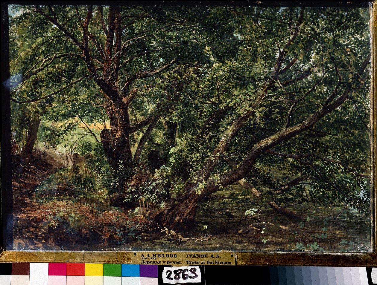 "The Trees on the River" Pintura de Alexander Ivanov (1806-1858) 1837 Museu Estatal Russo, São Petersburgo de Aleksandr Andreevich Ivanov