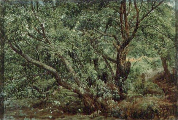 Árvores por um riacho de Aleksandr Andreevich Ivanov