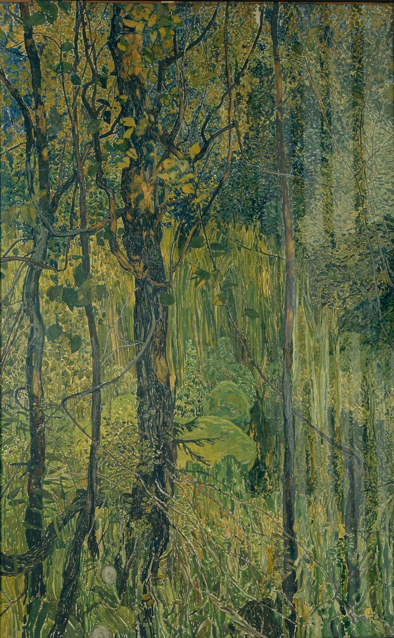 Floresta do pântano, 1917 de Aleksandr Jakovlevic Golovin