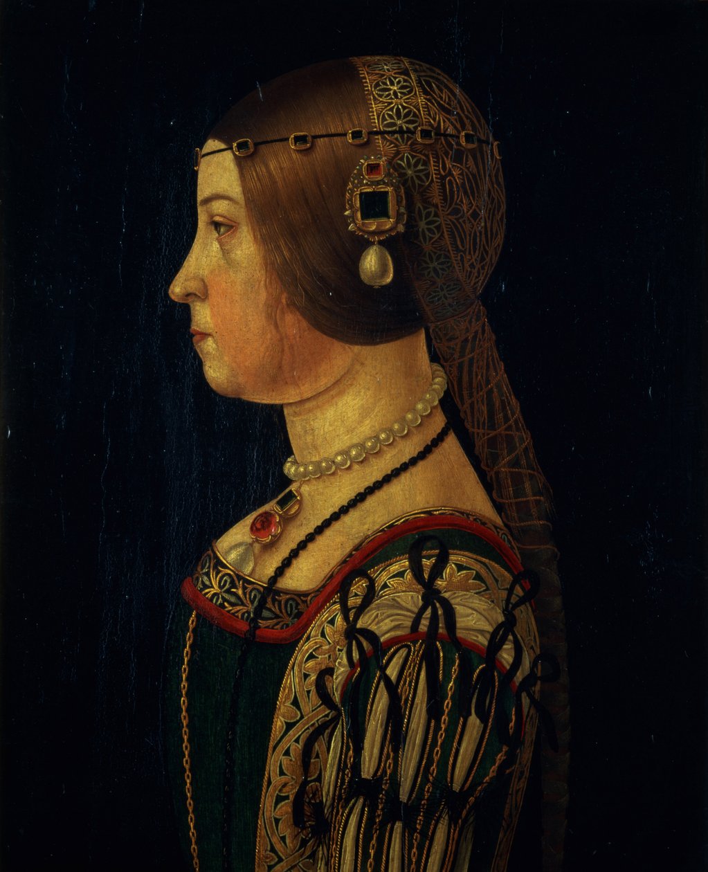 Retrato de Barbara Pallavicino, c.1520-28 (painel) de Alessandro, Araldi