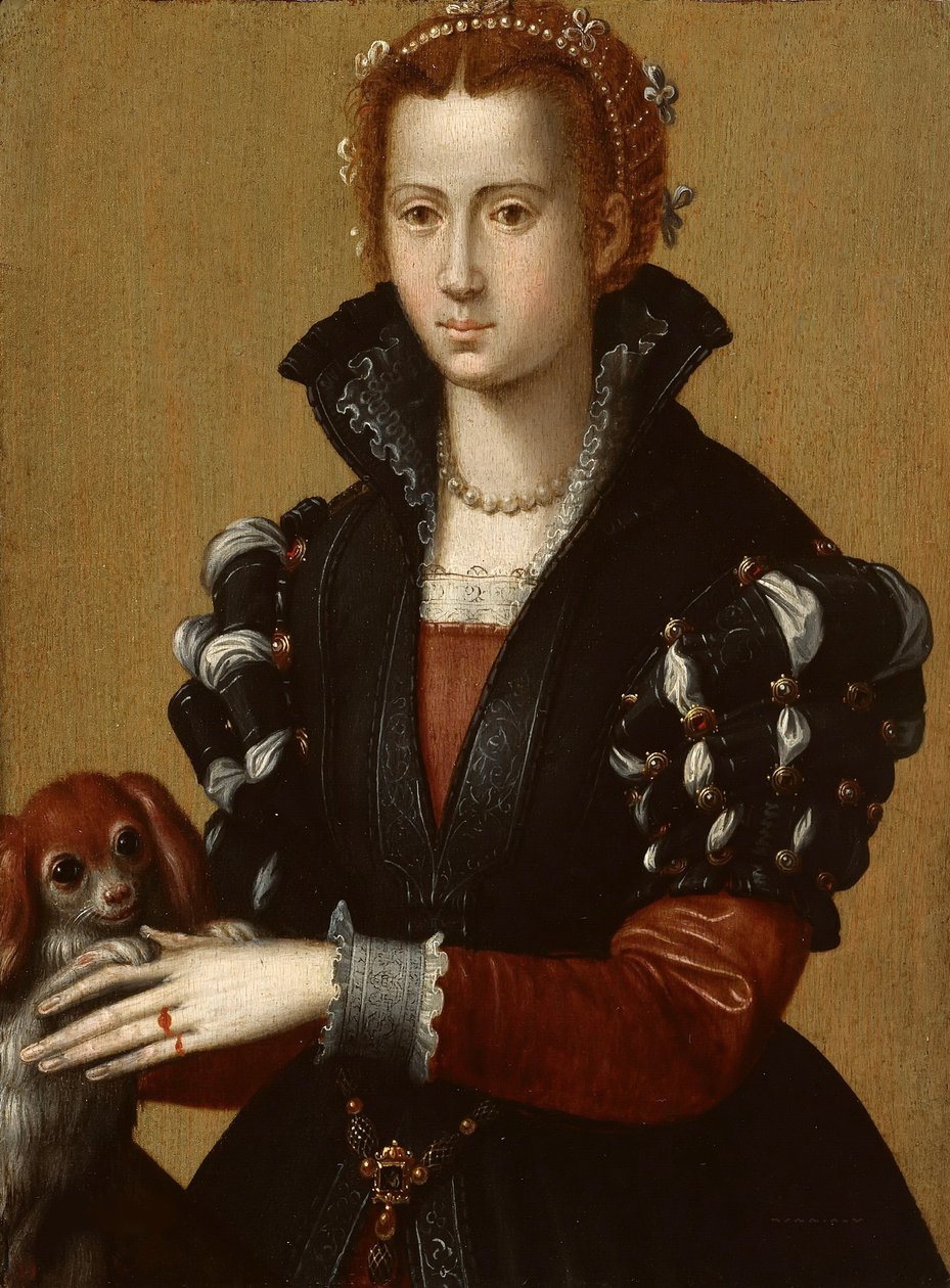Retrato de Eleanor de Toledo 15221562, c. 1560 de Alessandro Allori