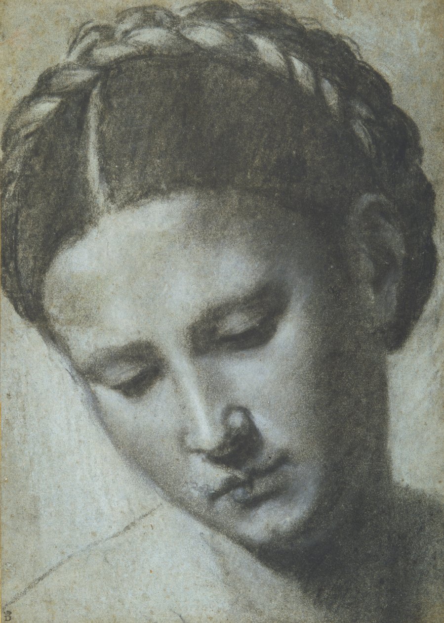 A cabeça de uma mulher com cabelo trançado (carvão vegetal e giz branco na carta azzura) de Alessandro Bonvicino Moretto