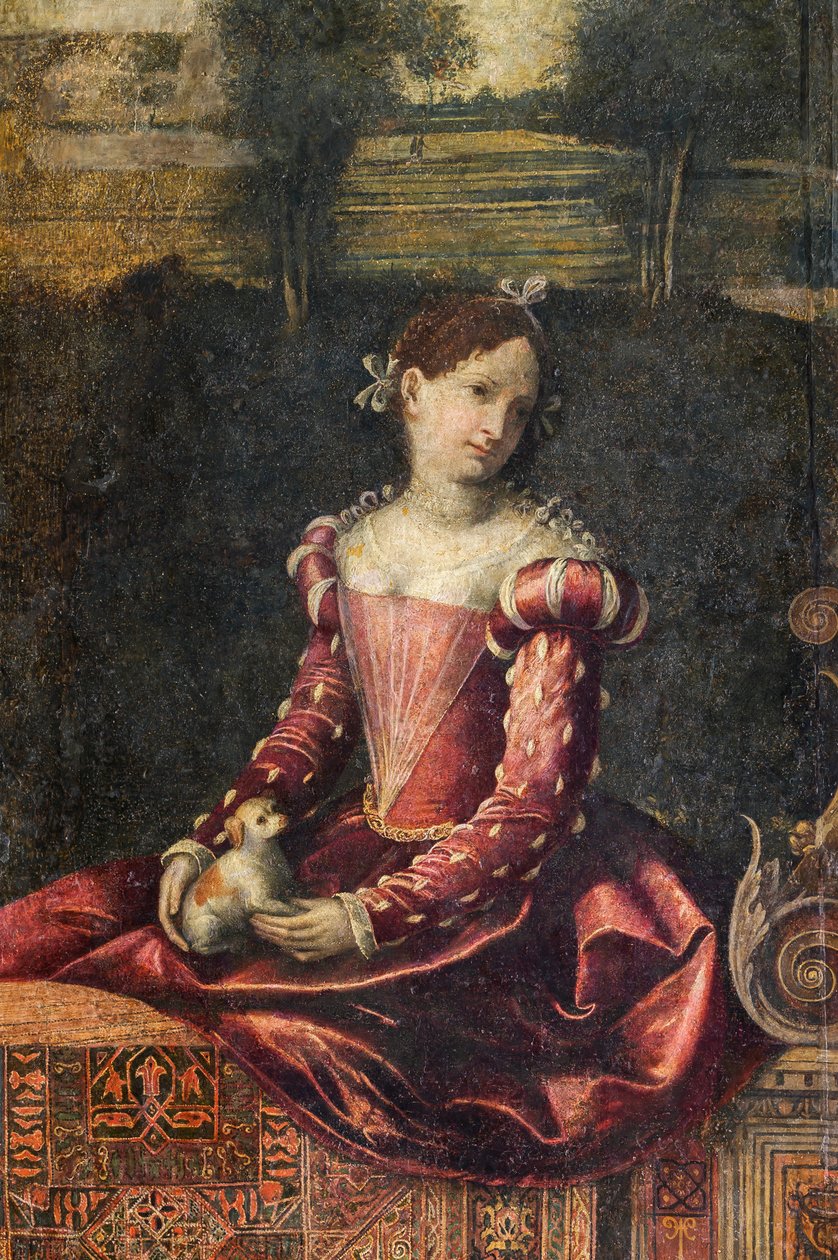 Retrato de uma nobre mulher, detalhe da Pequena Sala das Nobres Senhoras (óleo sobre tela colado nas paredes) de Alessandro Bonvicino Moretto