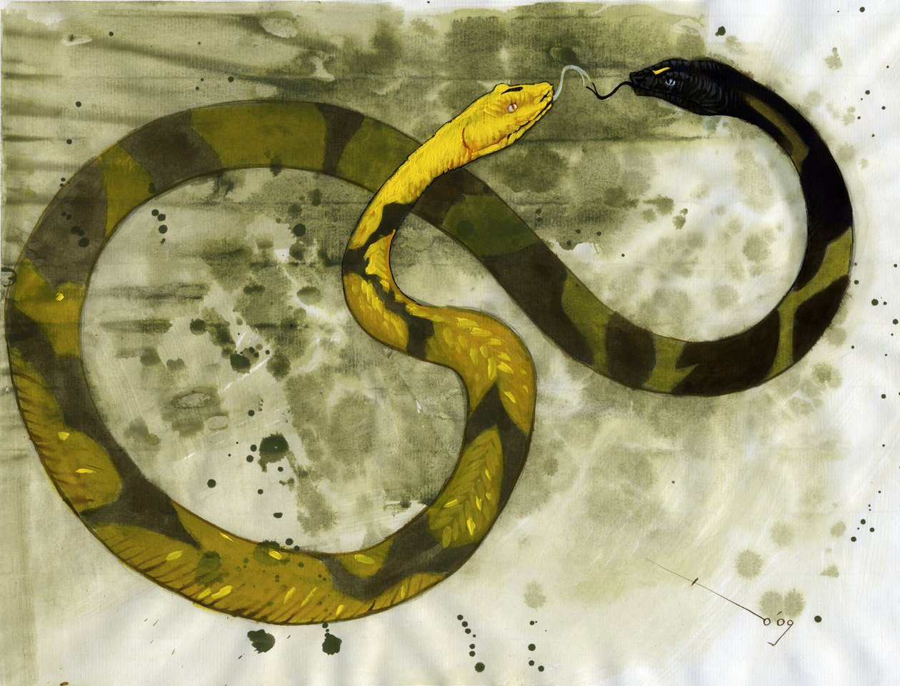 Fabulosa criatura: representação de uma Amphisbene, cobra com duas cabeças. Desenho de Alessandro Lonati de Alessandro Lonati