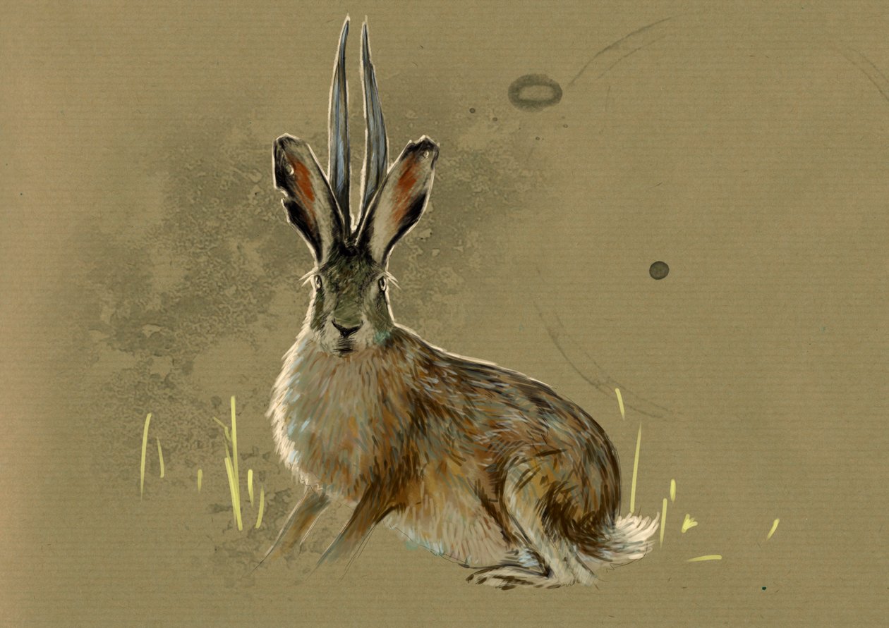 Monstros e criaturas fantásticas, criptozoologia: representação de um Jackalope, lendário animal mi lievre mi antílope (animal mítico um coelho com chifres de antílope) - Desenho de Alessandro Lonati, 2012 de Alessandro Lonati