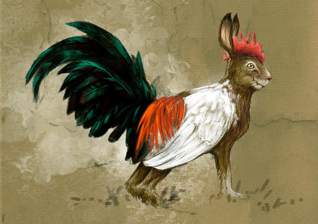 Monstros e criaturas fantásticas, criptozoologia: representação de um Skvader, criatura imaginária da Suécia, a meio caminho entre uma lebre e um grande galo de urze, foi criada em 1918 pelo taxidermista Rudolf Granberg - Desenho de Alessandro Lonati, 2012 de Alessandro Lonati