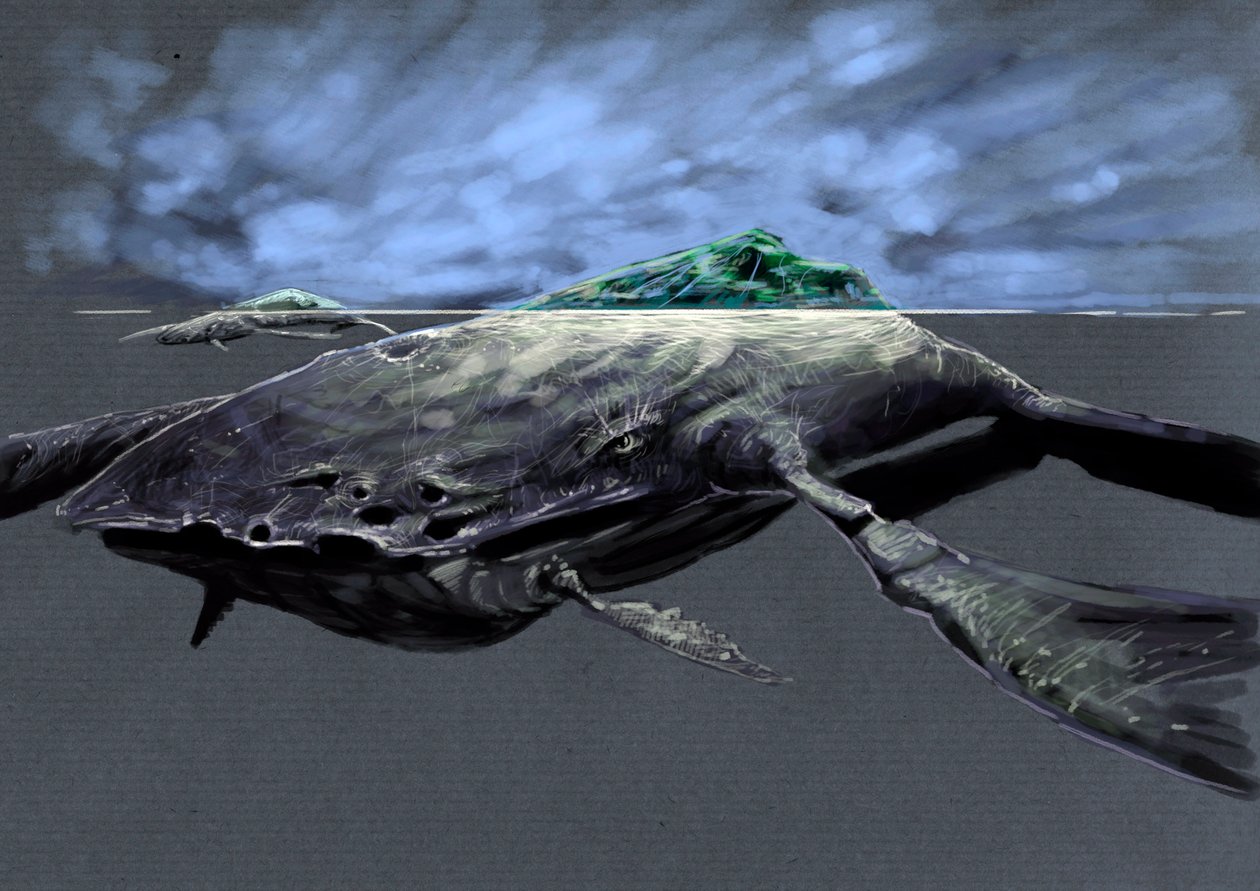Monstros e criaturas fantásticas, criptozoologia: representação de um zaratan, tartaruga marinha monstruosa, semelhante a uma ilha Desenho de Alessandro Lonati, 2012 de Alessandro Lonati