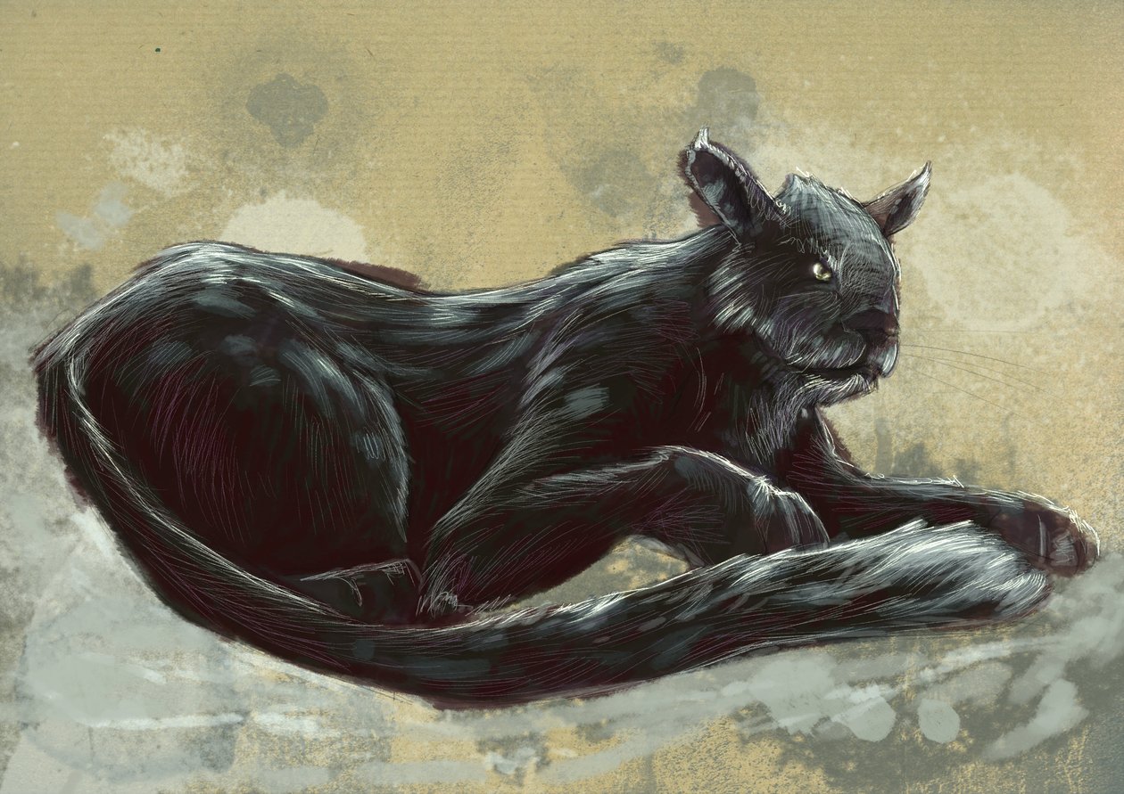 Monstros e criaturas fantásticas, criptozoologia: representação do Bete of Exmoor, visto em Devon e Somerset em Inglaterra - Desenho de Alessandro Lonati, 2012 de Alessandro Lonati