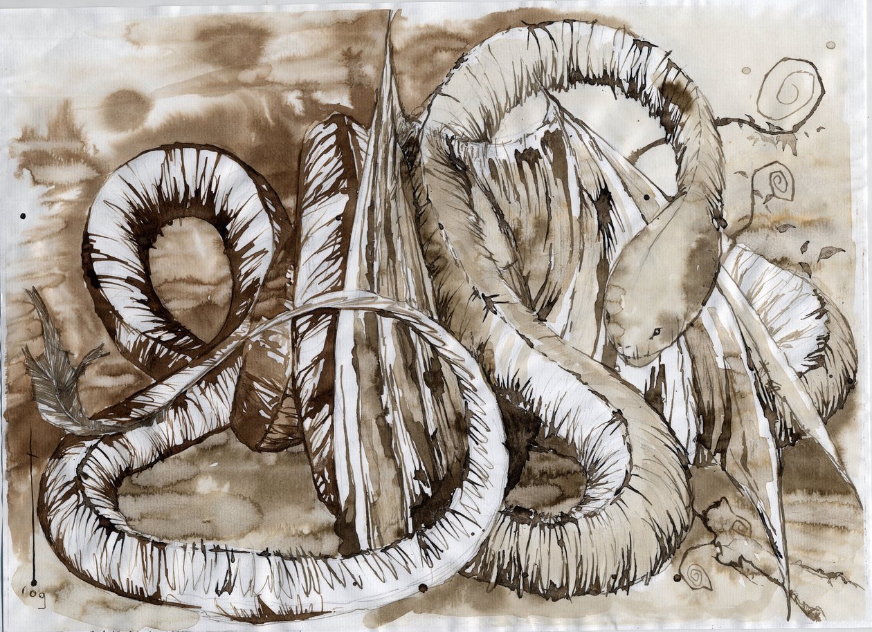 Ilustração de um animal fantástico e lendário: dragão com um corpo comprido de cobra. Desenho colorido de Alessandro Lonati. de Alessandro Lonati