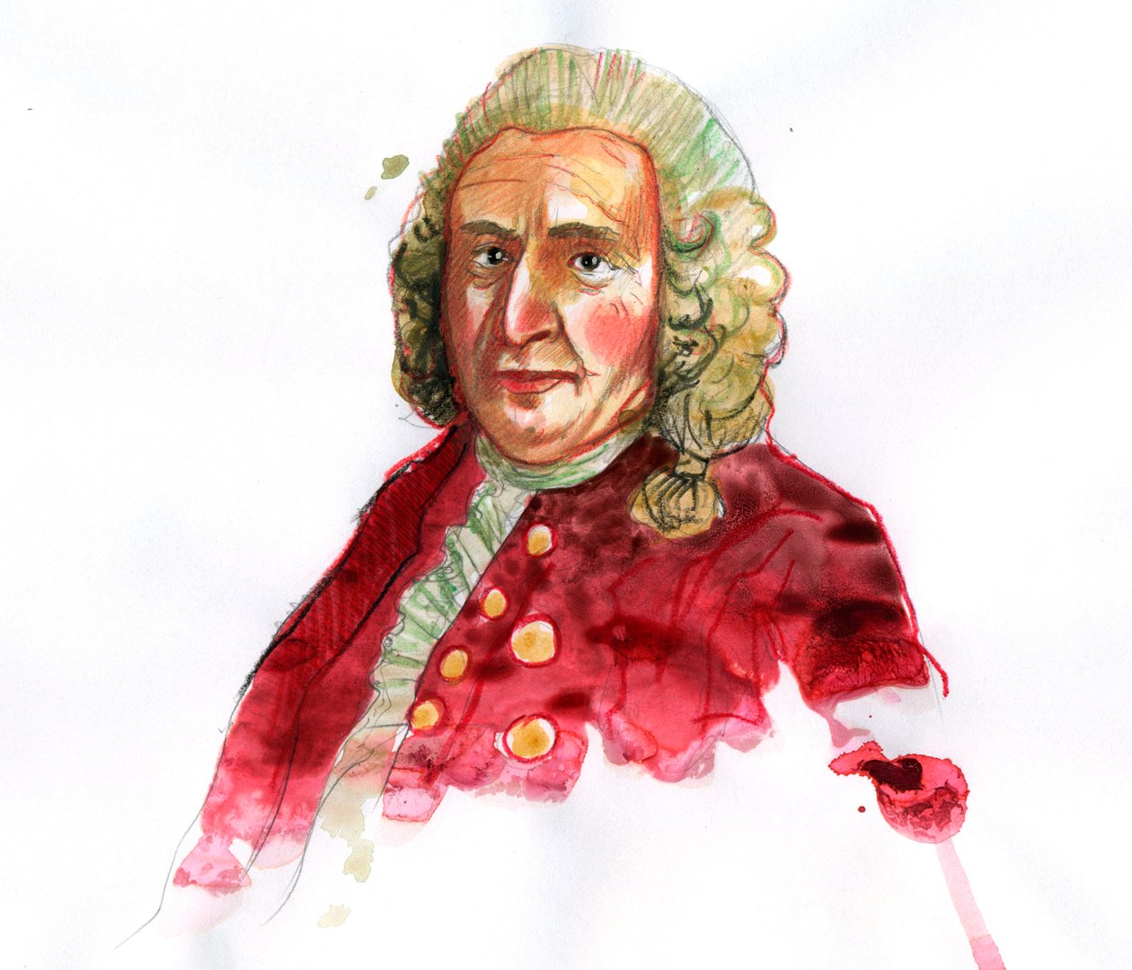 Retrato de Carl Linnaeus e depois Carl von Linne (1707-1778) naturalista sueco (Retrato de Carl Linnaeus) de Alessandro Lonati