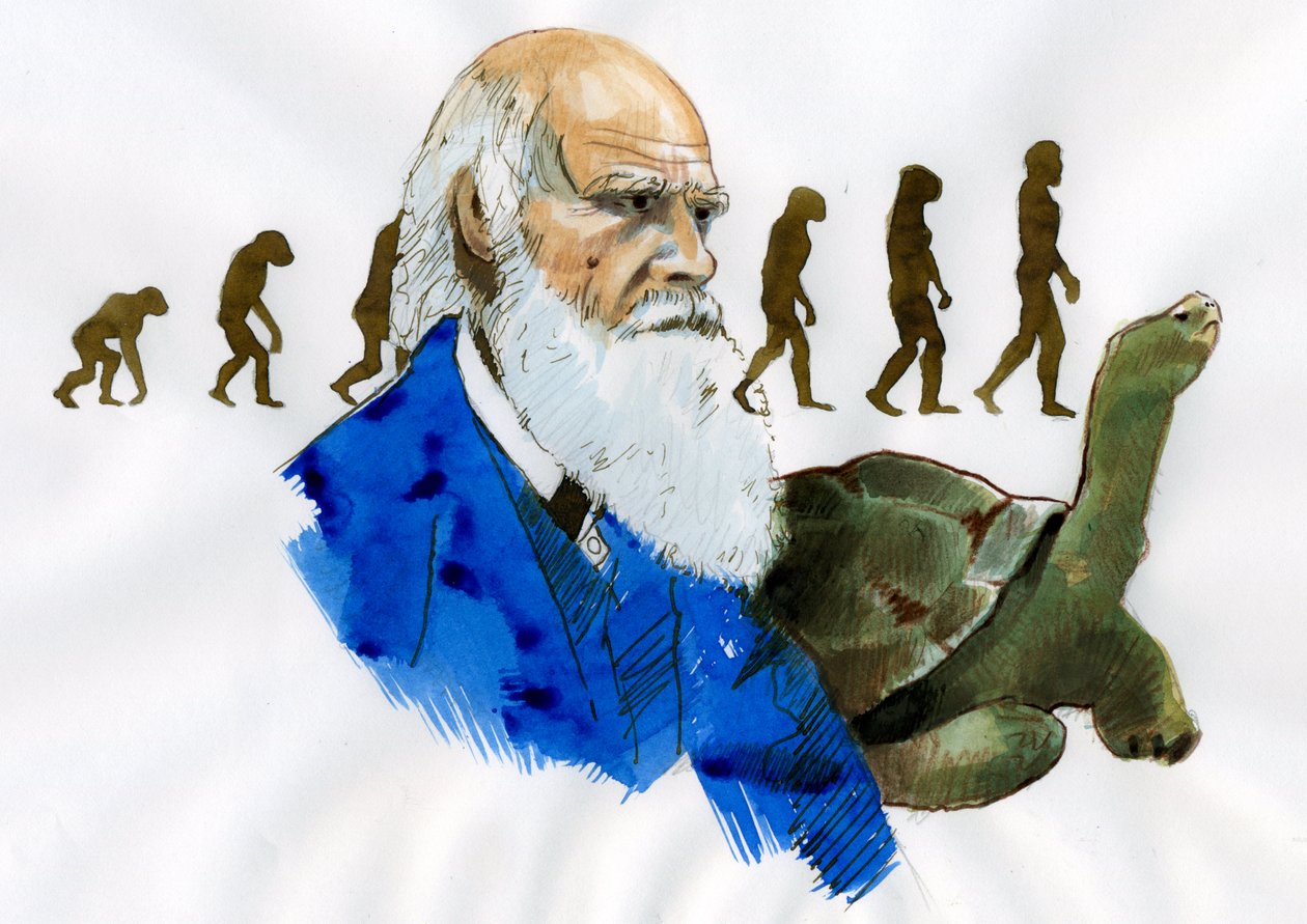 Retrato de Charles Darwin - Retrato do naturalista inglês Charles Darwin (1809-1882) Ilustração de Alessandro Lonati