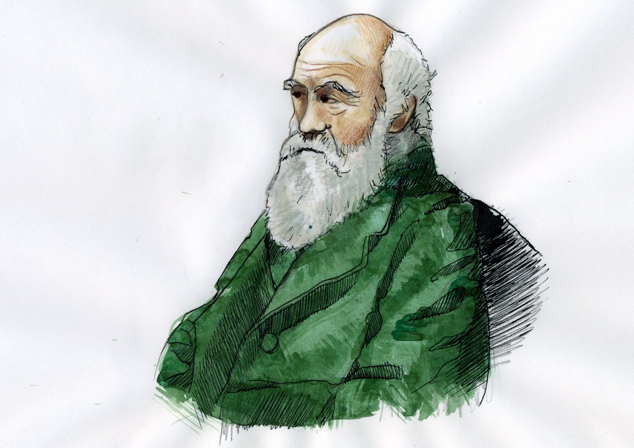 Retrato de Charles Darwin - Retrato do naturalista inglês Charles Darwin (1809-1882) Ilustração de Alessandro Lonati