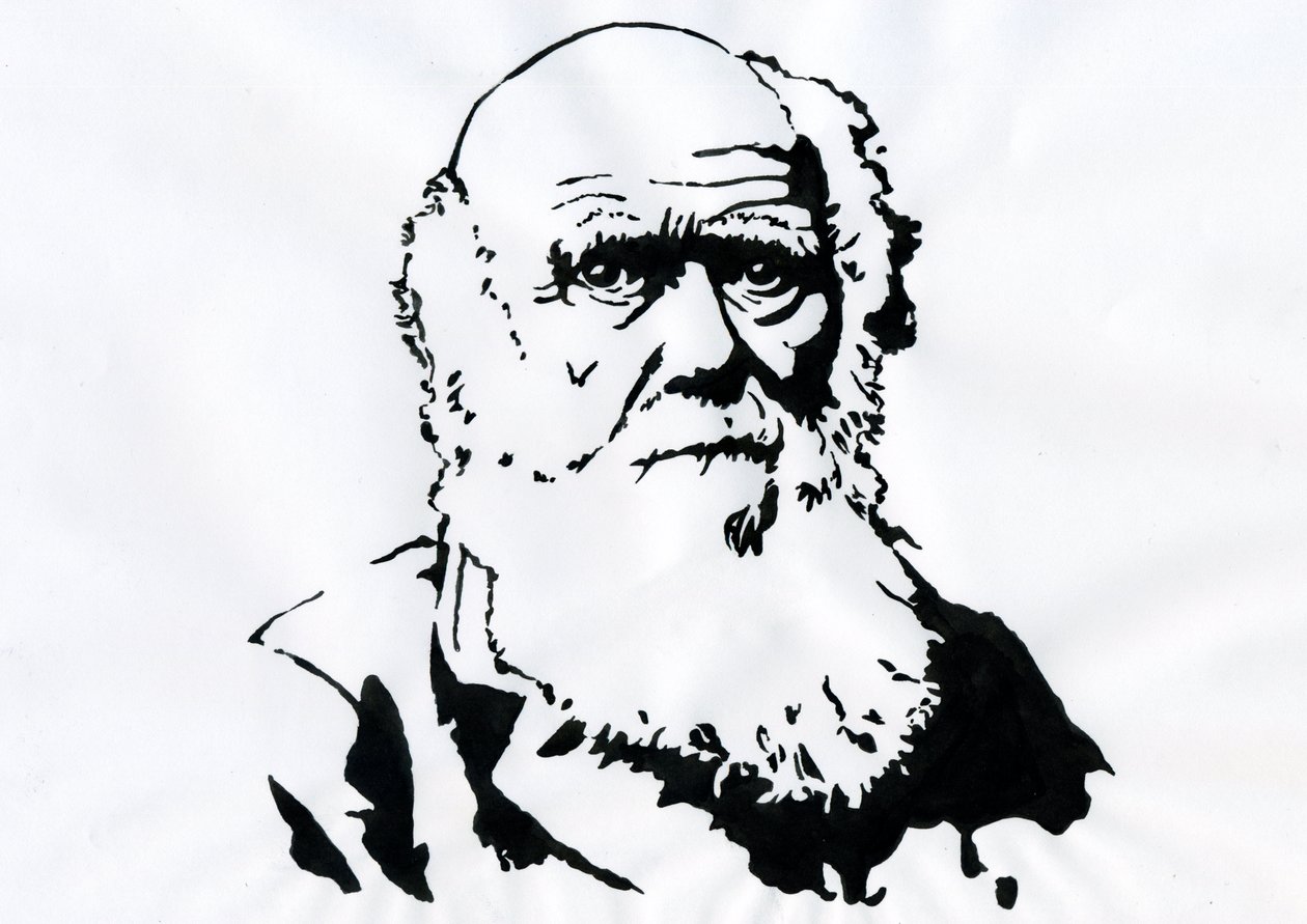 Retrato de Charles Darwin - Retrato do naturalista inglês Charles Darwin (1809-1882) Ilustração de Alessandro Lonati