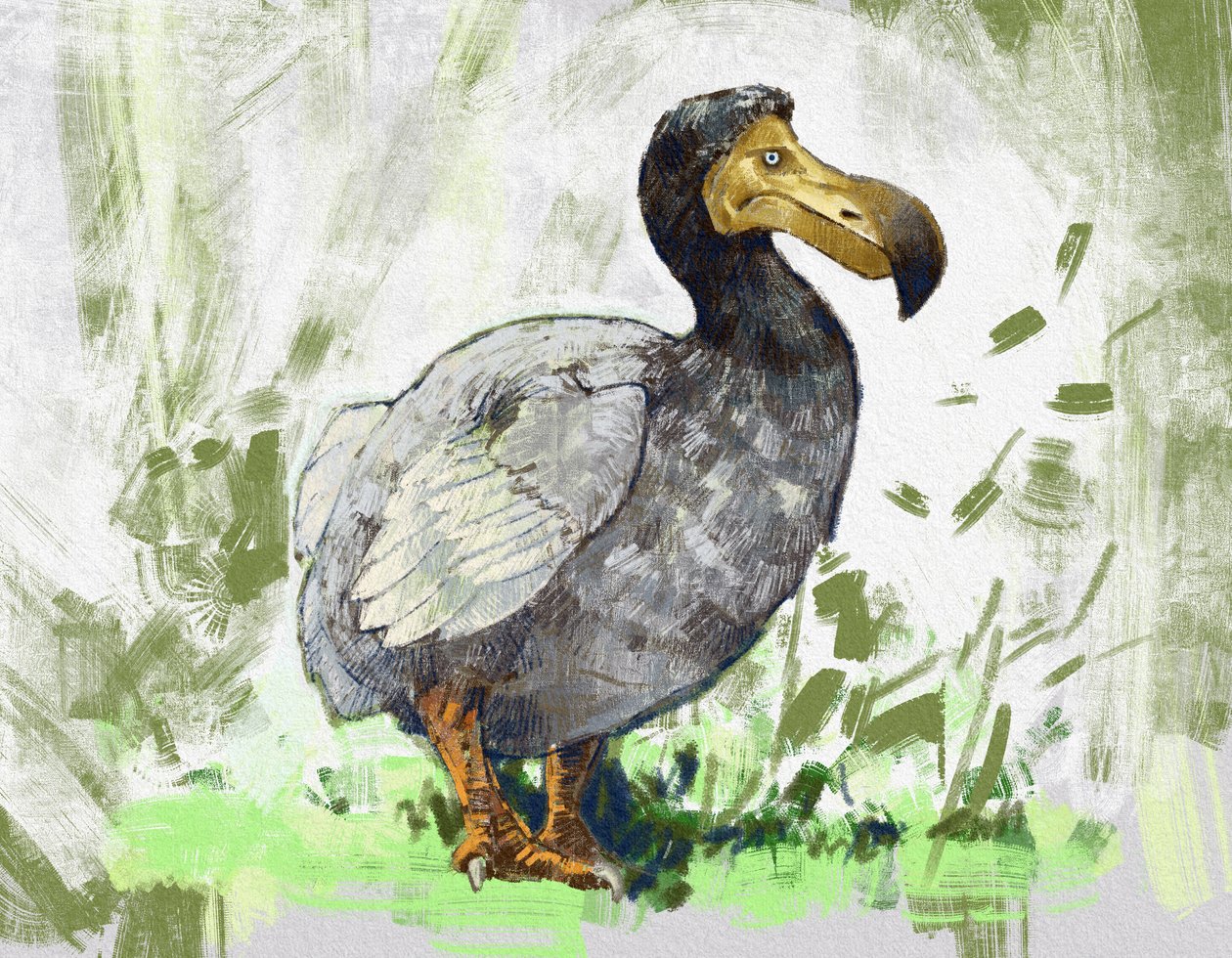 Representação da ave de dodô extinta (ilustração) de Alessandro Lonati