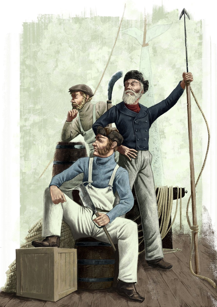Três baleias de Alessandro Lonati