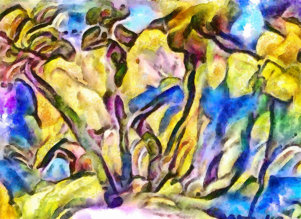 borda da floresta, 2017, de Alex Caminker