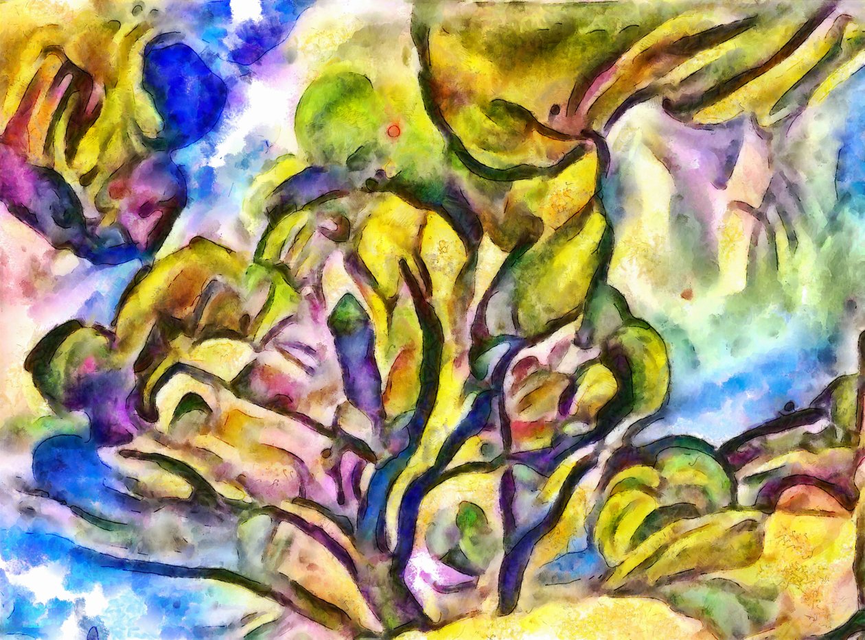 vento e nuvens na floresta, 2017, de Alex Caminker