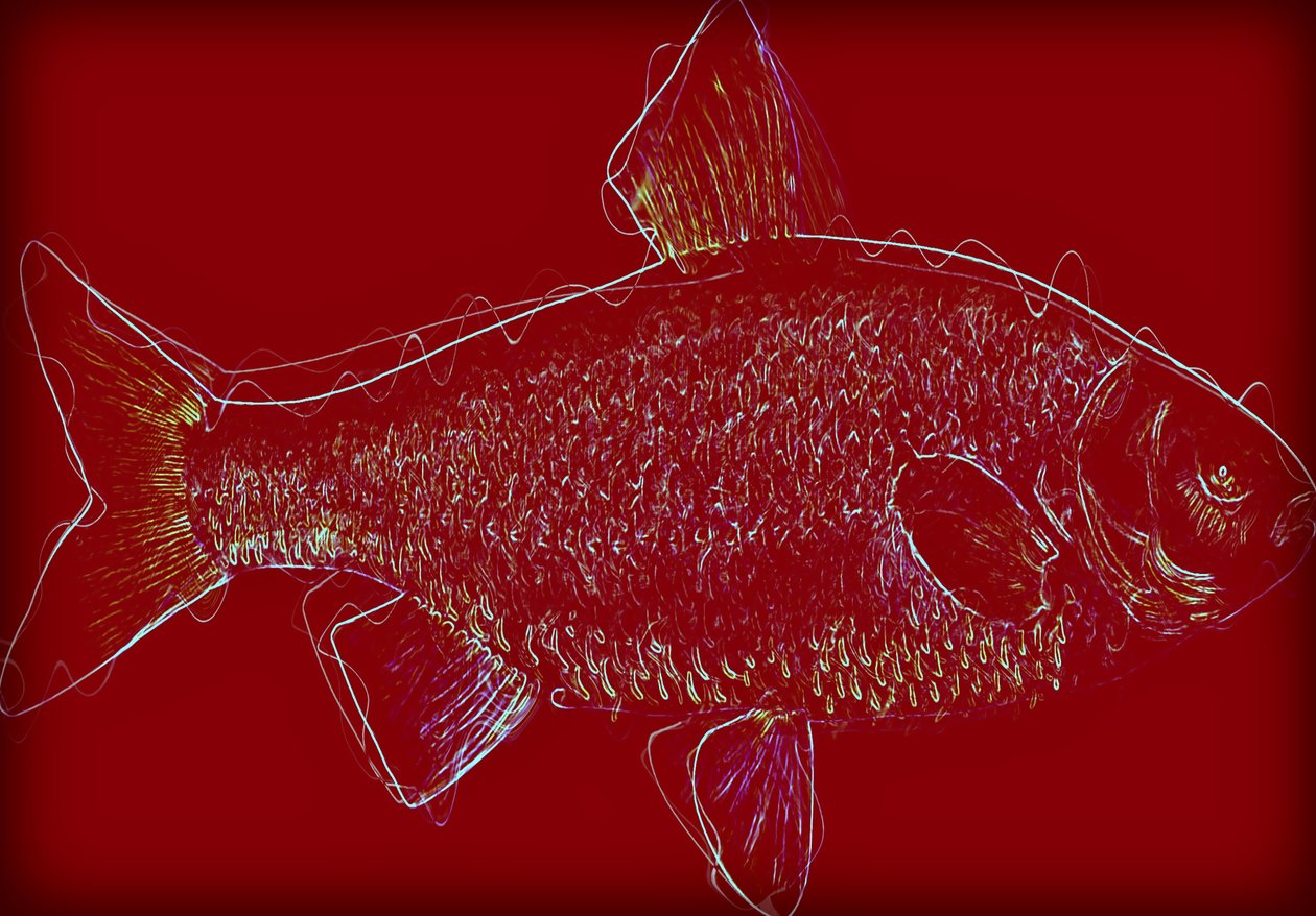 Fish V,2020 ,(mídia mista) de Alex Caminker