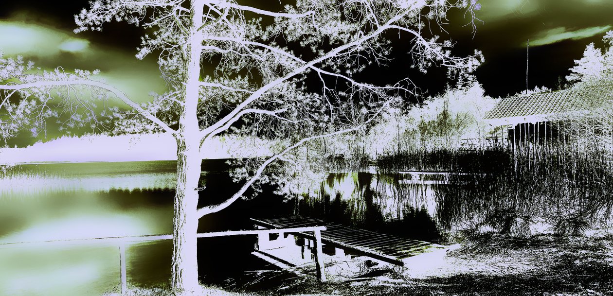 Jardim Secreto,2019,(fotografia) de Alex Caminker