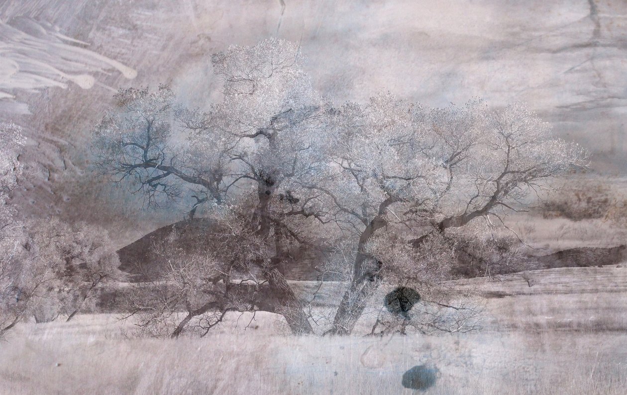 blue fog,2019,(mixed media) de Alex Caminker