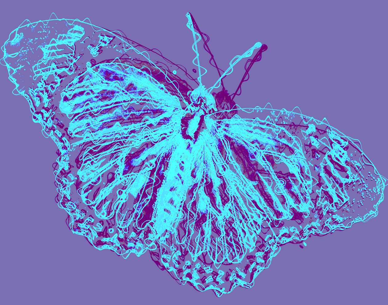 borboleta, 2020, (mídia mista) de Alex Caminker