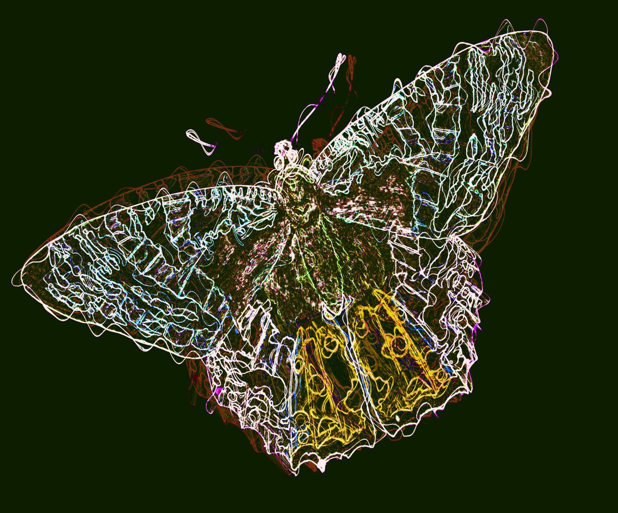borboleta 6,2020, (mídia mista) de Alex Caminker