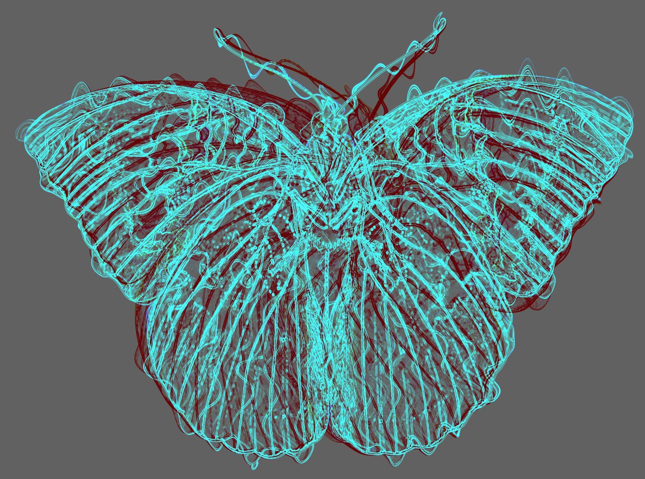 borboleta 8,2020, (mídia mista) de Alex Caminker
