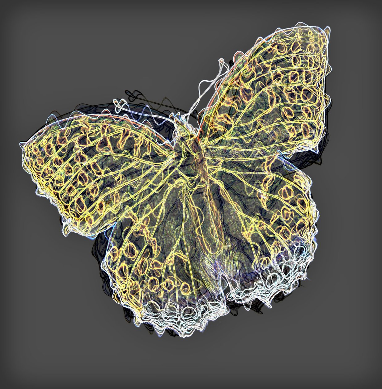 borboleta 9,2020, (mídia mista) de Alex Caminker