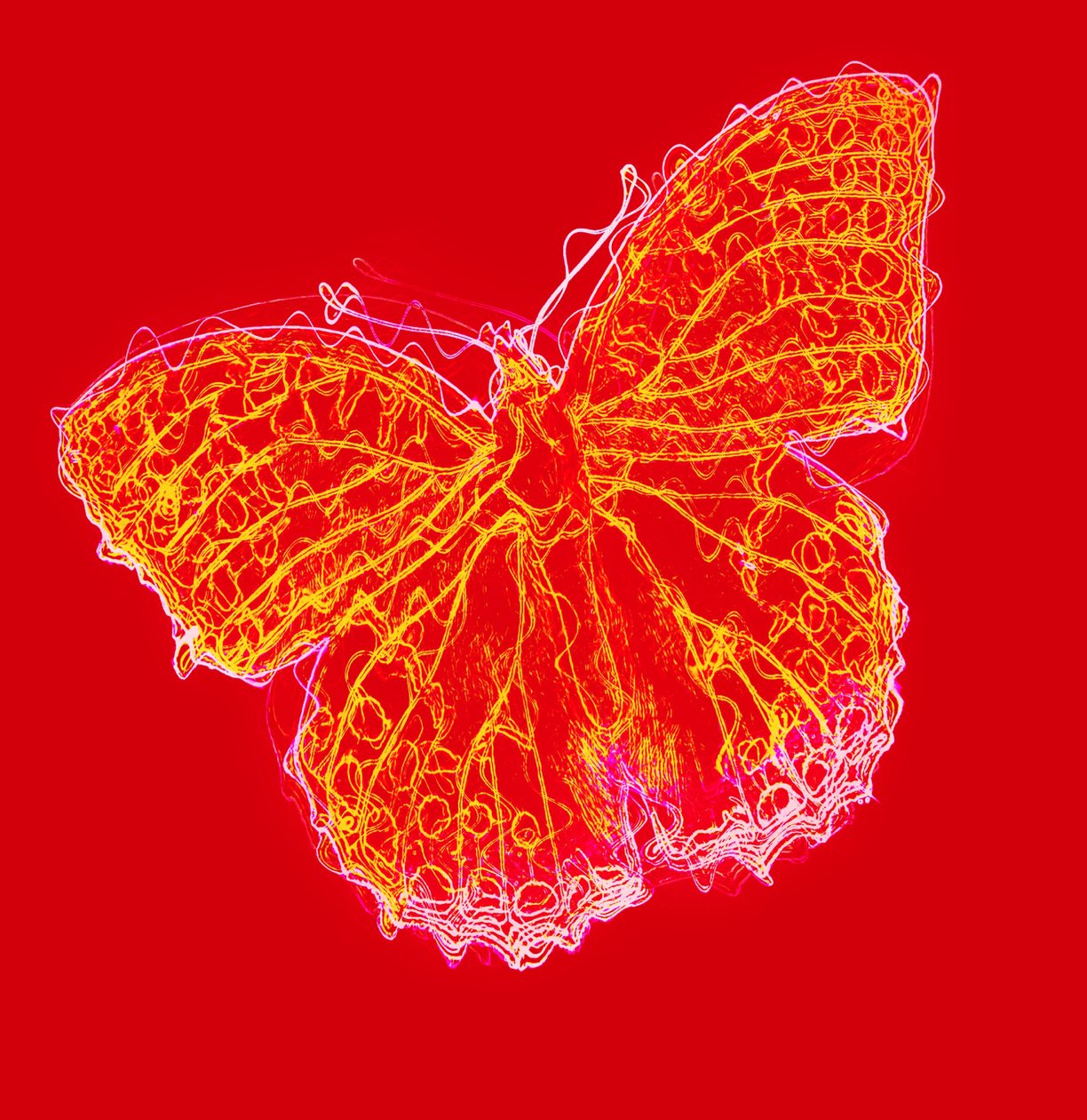 borboleta III,2020, (mídia mista) de Alex Caminker