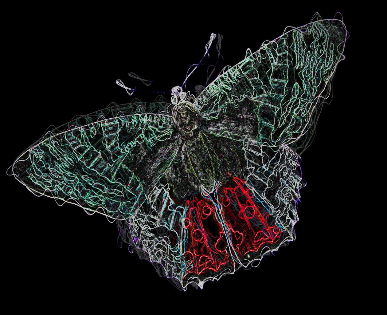 borboleta V,2020, (mídia mista) de Alex Caminker