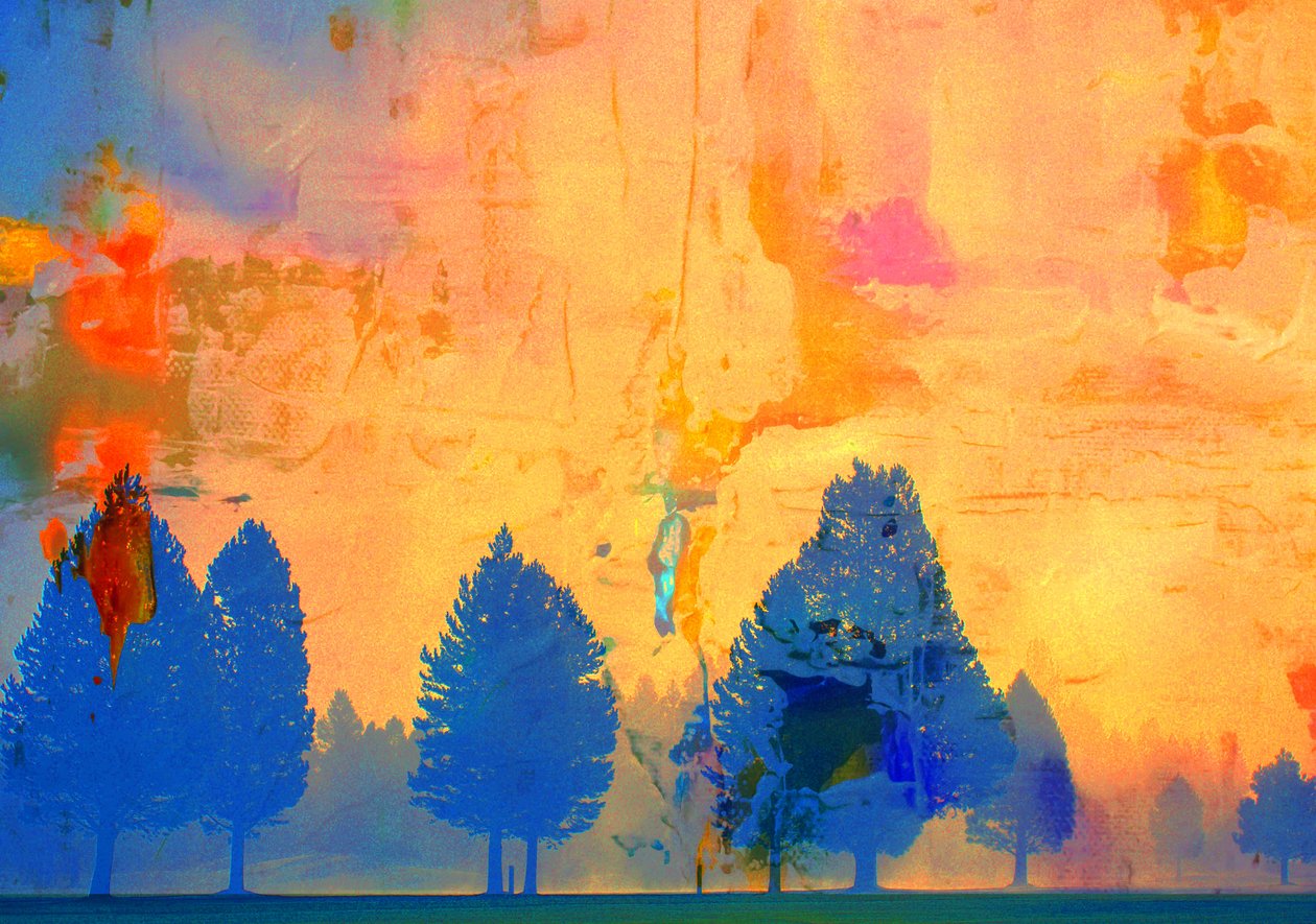 fogo frio,2019,(meios mistos) de Alex Caminker