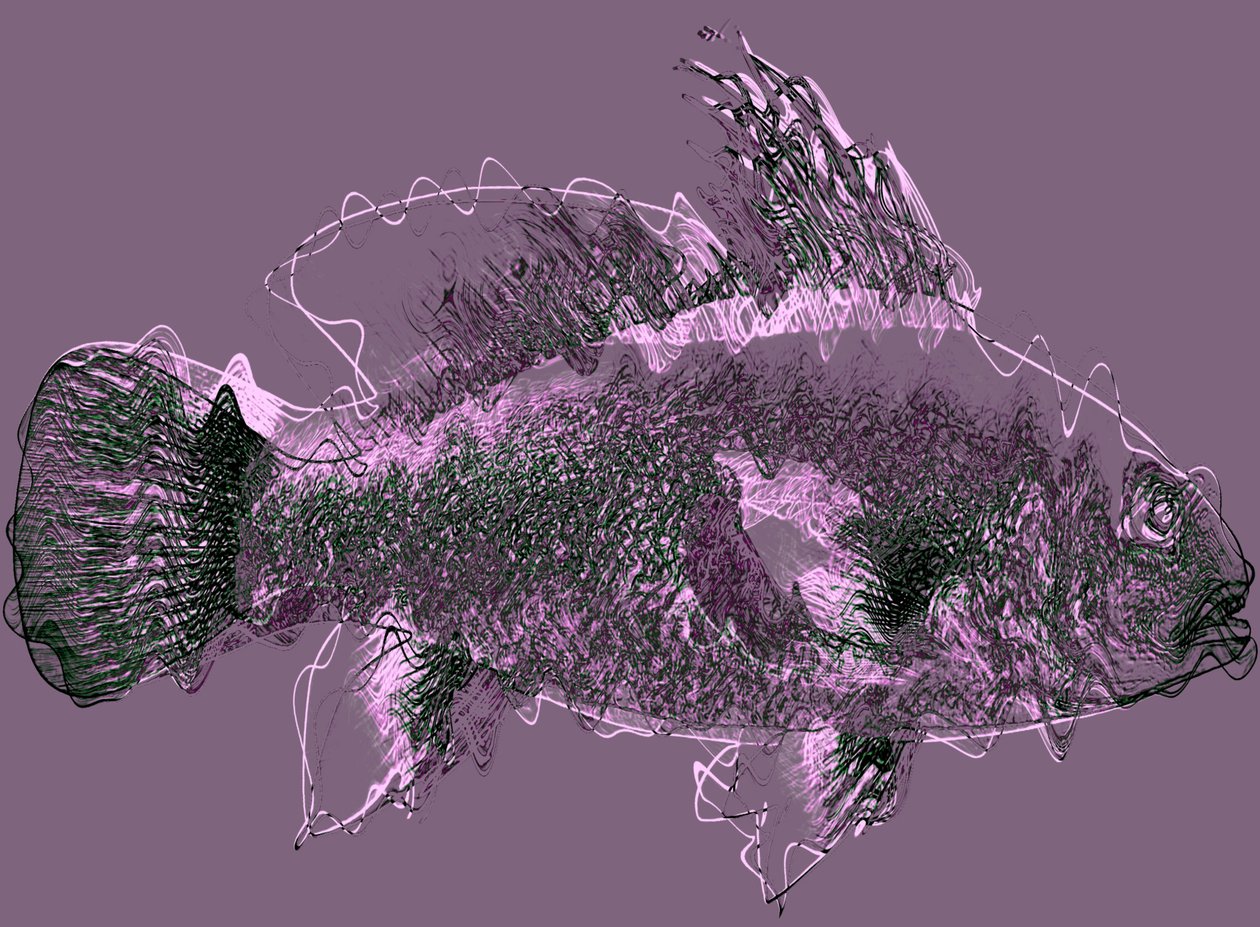 peixe III,2020, (mídia mista) de Alex Caminker