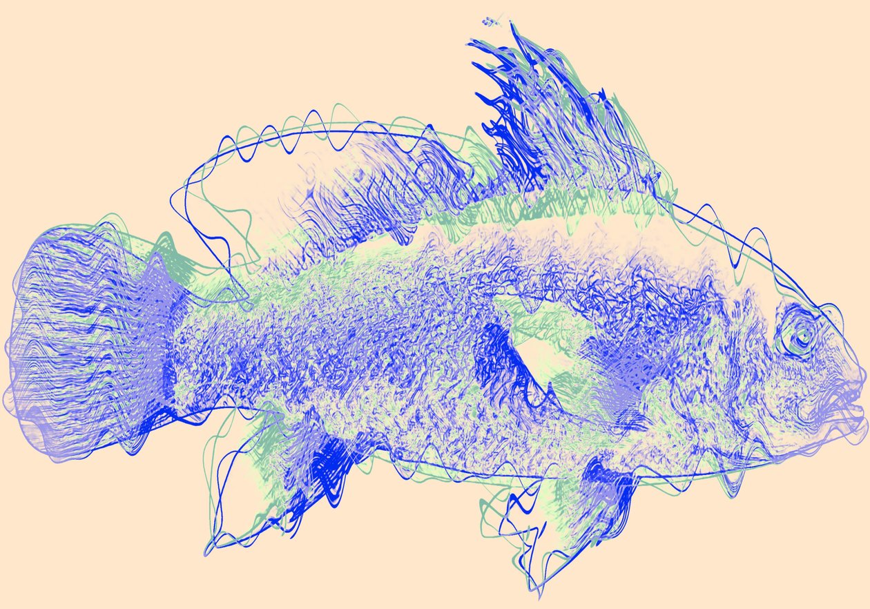 peixe IV, 2020, (mídia mista) de Alex Caminker