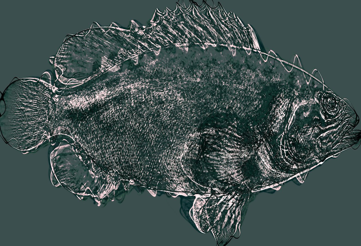 peixe em verde, 2020, (mídia mista) de Alex Caminker