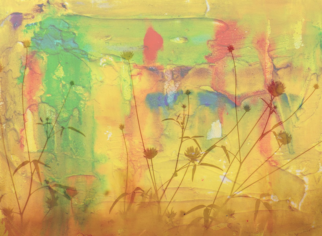 no deserto,2019,(meios mistos) de Alex Caminker