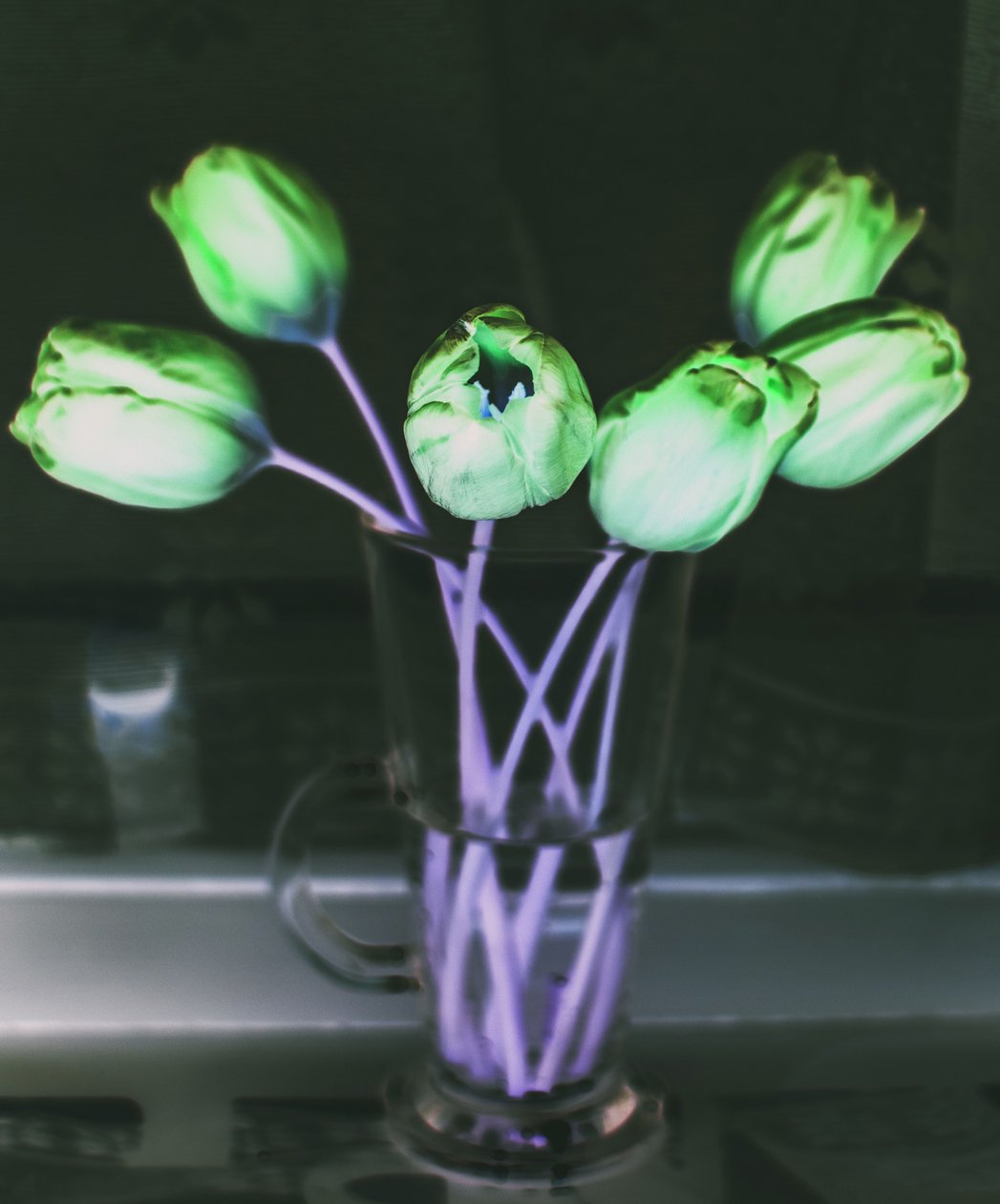 refração da luz,2019,(fotomanipulação) de Alex Caminker