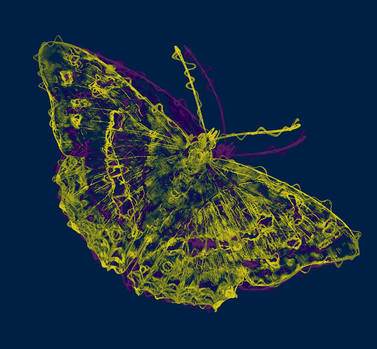 borboleta amarela, 2020, (mídia mista) de Alex Caminker
