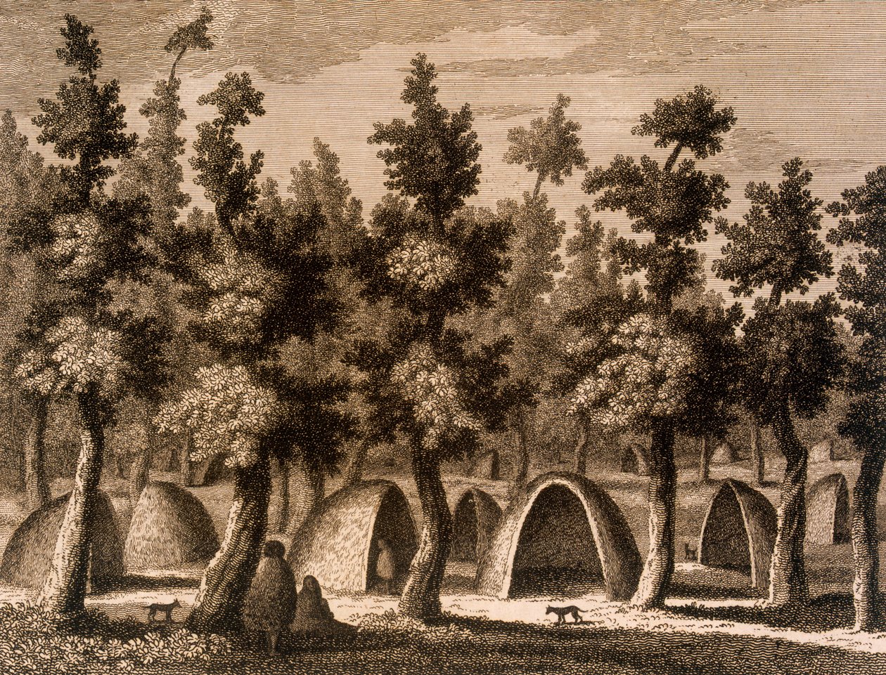Vista de uma aldeia na Baía do Bom Sucesso, Tierra del Fuego, 1777 de Alexander Buchan